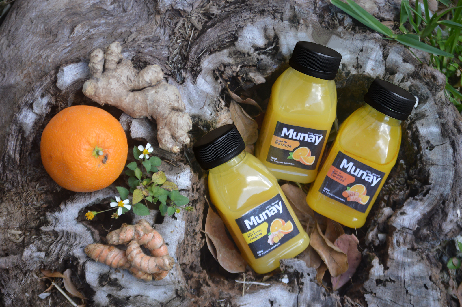Tres botellas de zumo MUNAY de naranja y jengibre