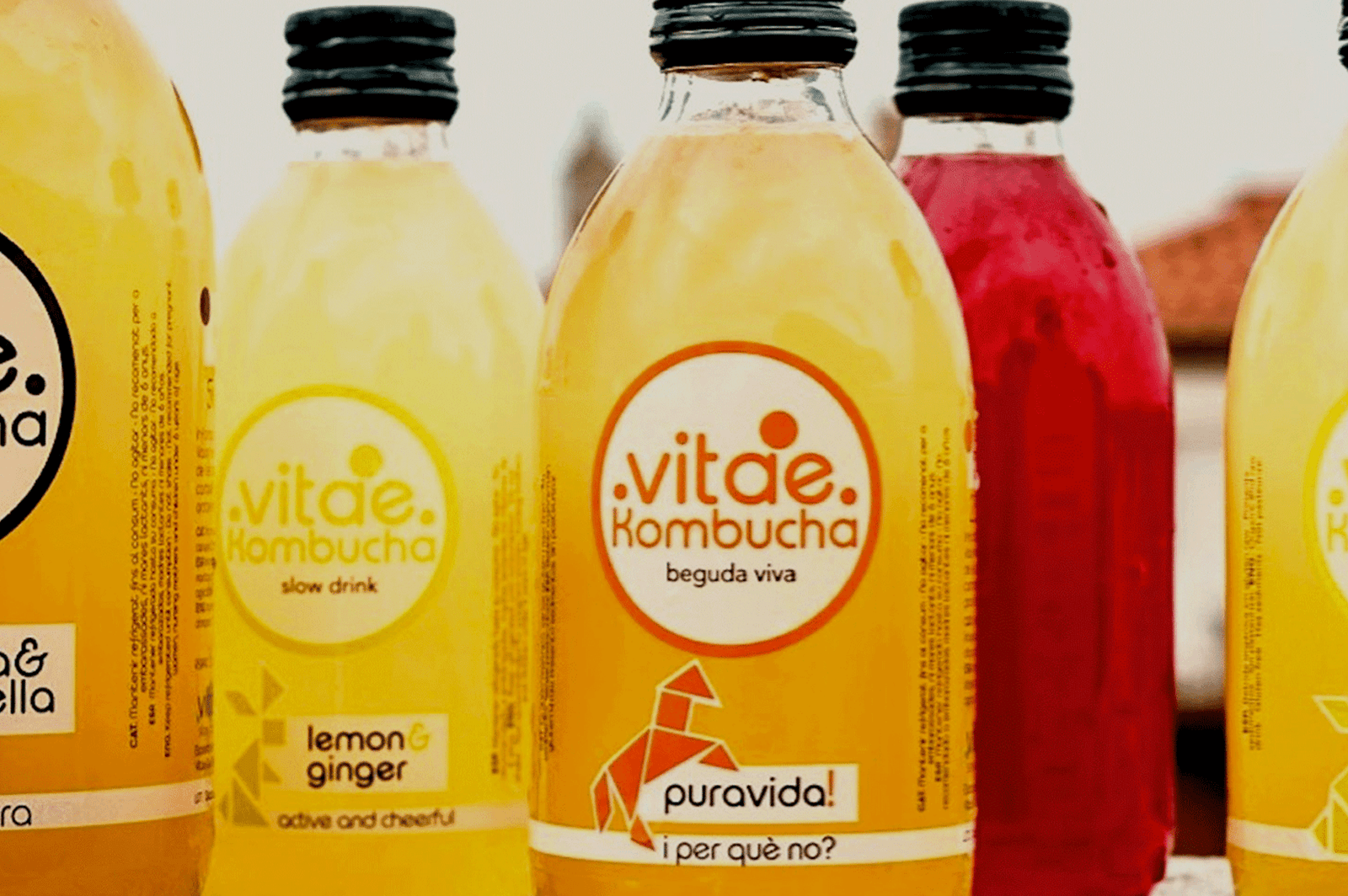 Botellas de kombucha artesanal de Vitae, elaborada con ingredientes orgánicos.